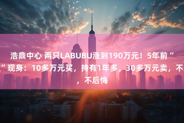 浩鼎中心 两只LABUBU涨到190万元！5年前“旧主”现身：10多万元买，持有1年多，30多万元卖，不后悔