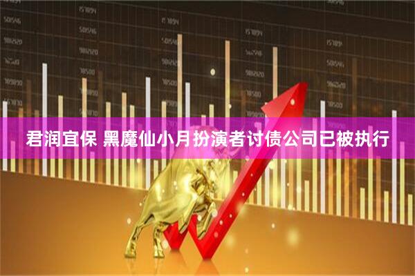 君润宜保 黑魔仙小月扮演者讨债公司已被执行