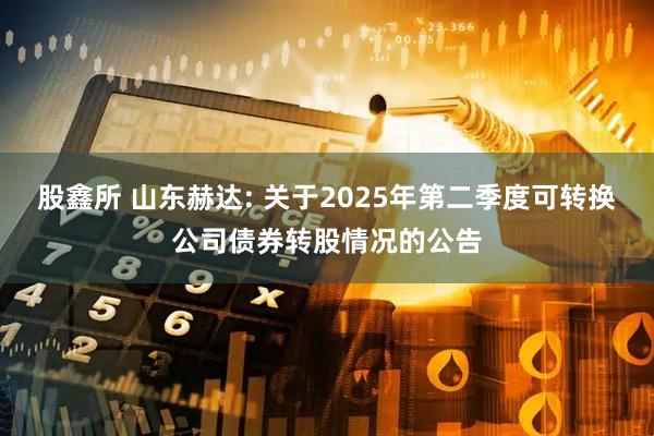 股鑫所 山东赫达: 关于2025年第二季度可转换公司债券转股情况的公告