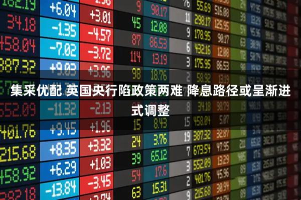 集采优配 英国央行陷政策两难 降息路径或呈渐进式调整