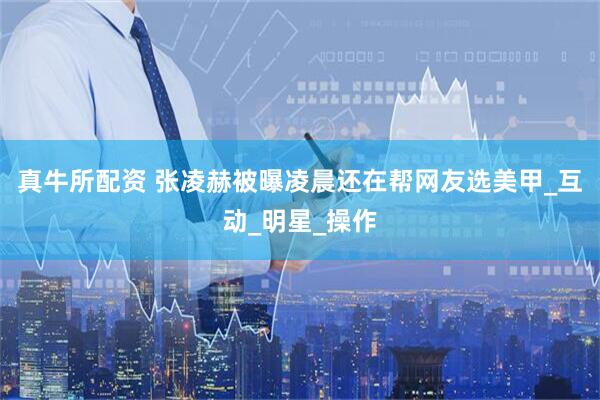 真牛所配资 张凌赫被曝凌晨还在帮网友选美甲_互动_明星_操作