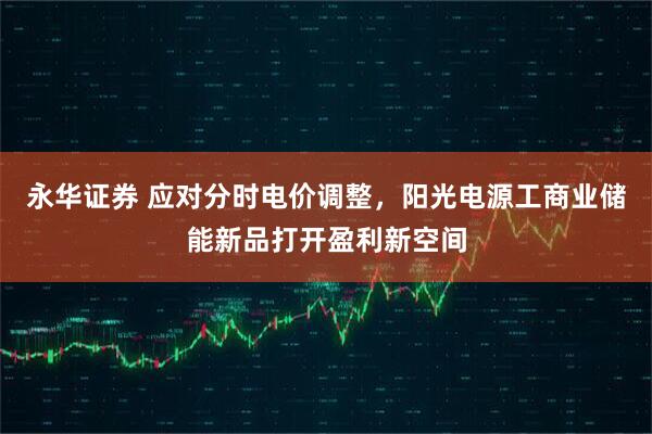 永华证券 应对分时电价调整,阳光电源工商业储能新品打开盈利新空间