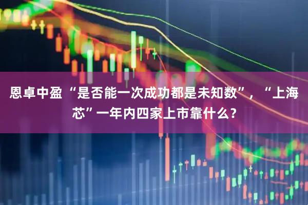 恩卓中盈 “是否能一次成功都是未知数”,“上海芯”一年内四家上市靠什么?